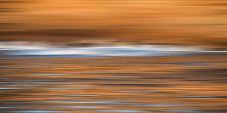 Point Lobos Abstract 14