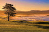 A Beautiful Finish - Gallery-by-the-Sea Carmel