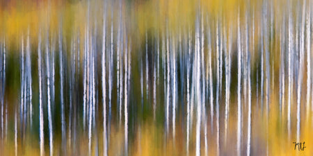 Aspen Light