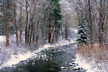 Aspen River