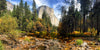 Yosemite National Park Autumn in Yosemite - Gallery-by-the-Sea Carmel
