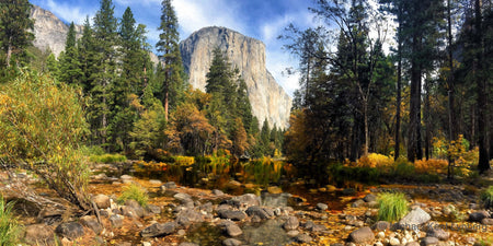 Yosemite National Park Autumn in Yosemite - Gallery-by-the-Sea Carmel