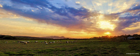 Carmel Mission Panorama - Gallery-by-the-Sea Carmel
