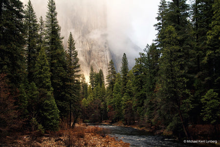 El Capitan and River - Gallery-by-the-Sea Carmel