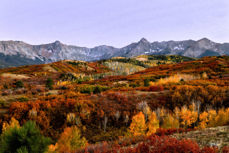 Fall Splendor
