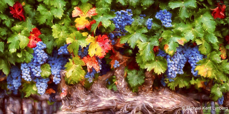Napa Colors - Gallery-by-the-Sea Carmel