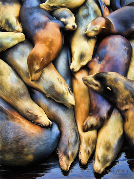 Naptime - Gallery-by-the-Sea Carmel