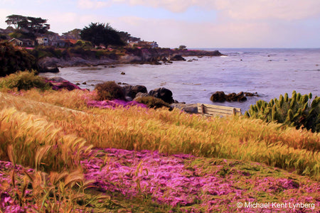 Pacific Grove Ice Plant - Gallery-by-the-Sea Carmel