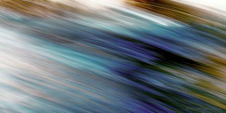 Point Lobos Abstract 14