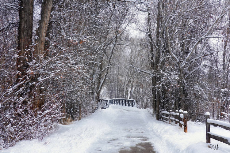 Welcoming Walk