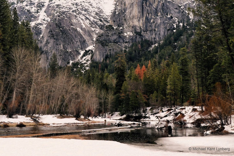 Winter in Yosemite - Gallery-by-the-Sea Carmel