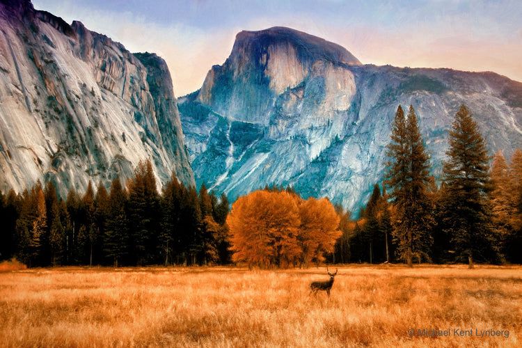 Yosemite Dawn - Gallery-by-the-Sea Carmel